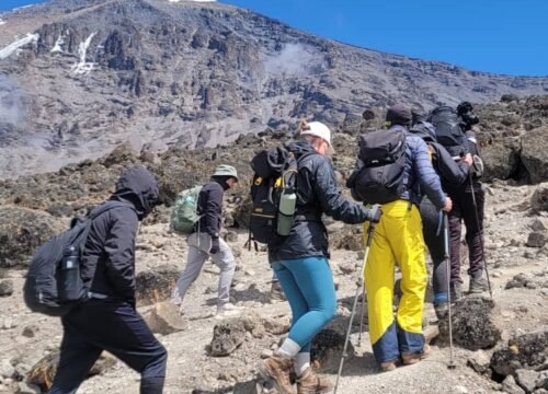 8 Days Lemosho Route Kilimanjaro Climb