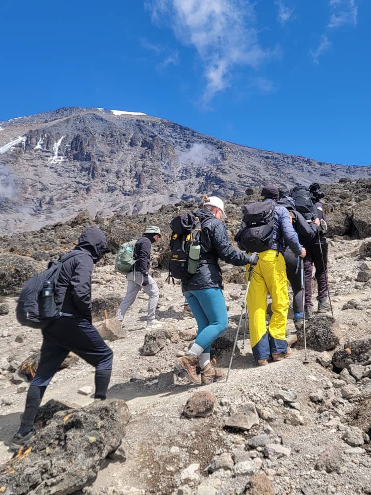8 Days Lemosho Route Kilimanjaro Climb