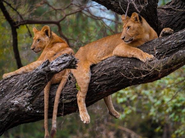 Lake Manyara
