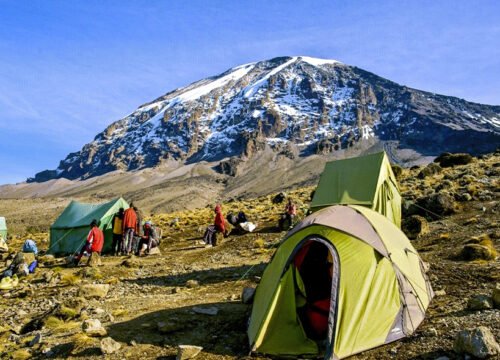 7 Days Machame Route Kilimanjaro Climb
