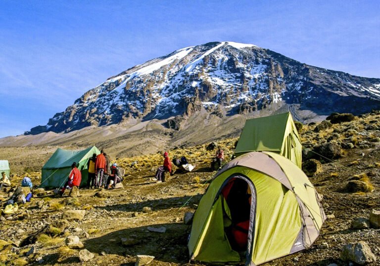 7 Days Machame Route Kilimanjaro Climb