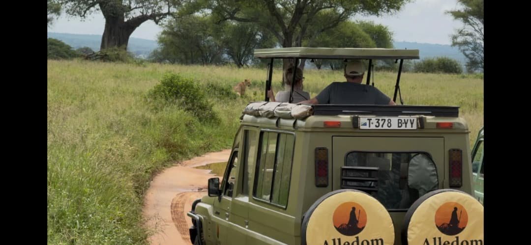 Ngorongoro
